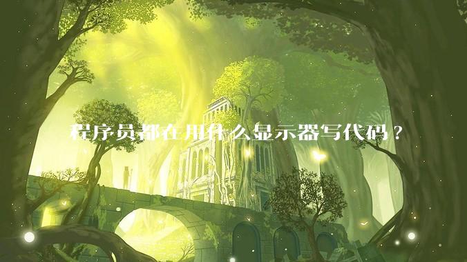 程序员都在用什么显示器写代码?